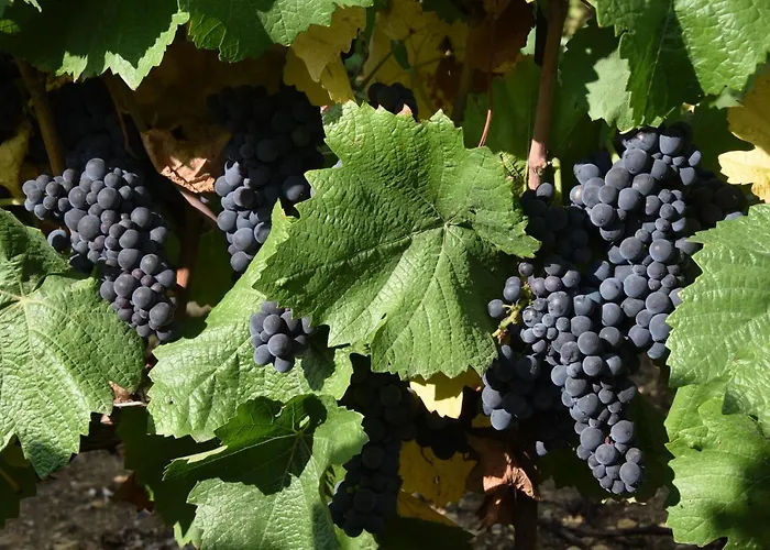 Country house La Maisonnette Dintevilloise Dinteville